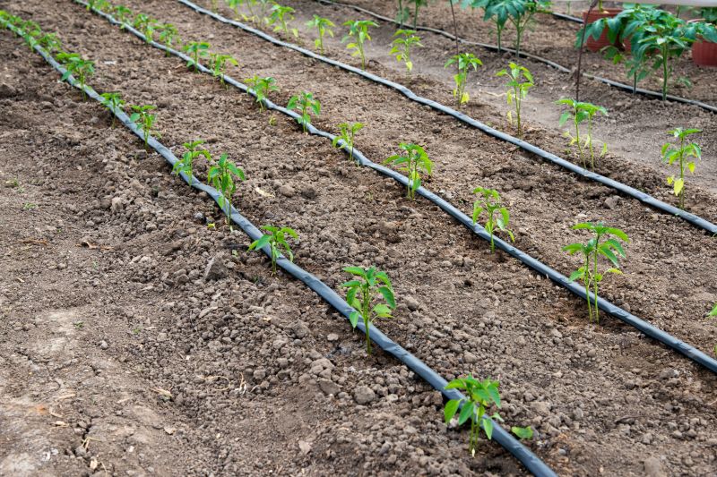 Drip Irrigation Solutions
